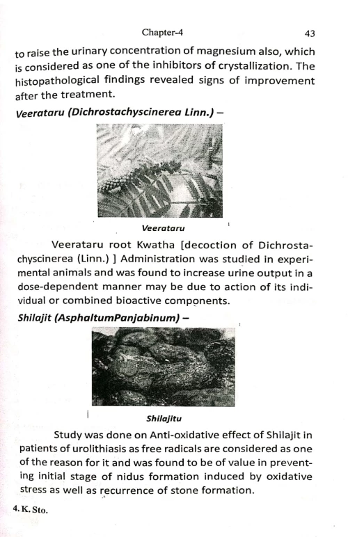 Ayurvedic Remedies for Kidney Stones